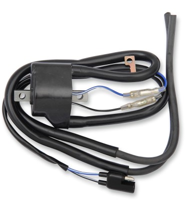 IGNITION COIL ARCTIC