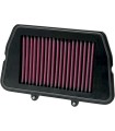 AIR FILTER TRIUMPH TIGER