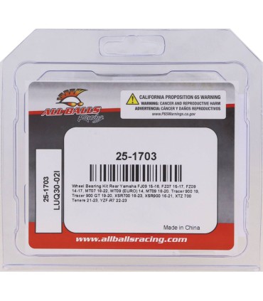 BEARING KIT WHEEL R YAM