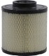 AIR FILTER POLARIS