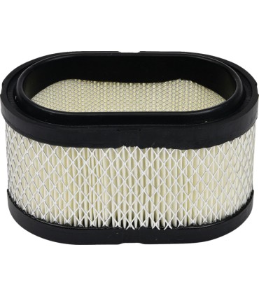 AIR FILTER POLARIS