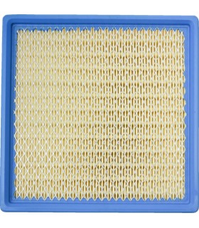 AIR FILTER POLARIS