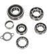 BEARINGS TRANS TBK0056