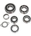 BEARINGS TRANS TBK0056