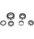 BEARINGS TRANS TBK0071