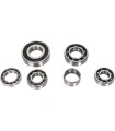 BEARINGS TRANS TBK0071