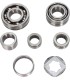 BEARINGS TRANS TBK0072
