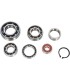 BEARINGS TRANS TBK0102