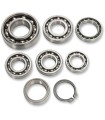 BEARINGS TRANS TBK0108