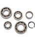 BEARING TRANSMISSION KIT