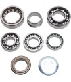BEARING TRANSMISSION KIT