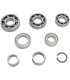 BEARING TRANSMISSION KIT