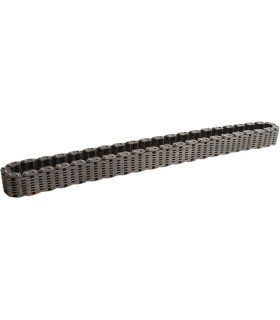 TRANSAXLE REAR DRV CHAIN