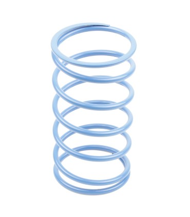 VARIATOR SPRINGS