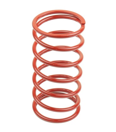 VARIATOR SPRINGS