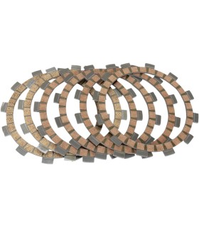 FRCTION PLTE SET YFM250R 08-12