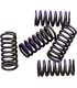 SPRINGS CLUTCH KIT