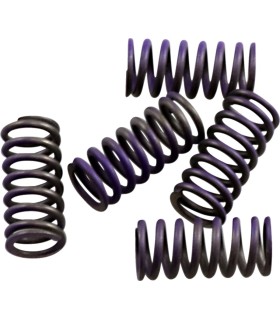 SPRINGS CLUTCH KIT