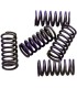 SPRINGS CLUTCH KIT