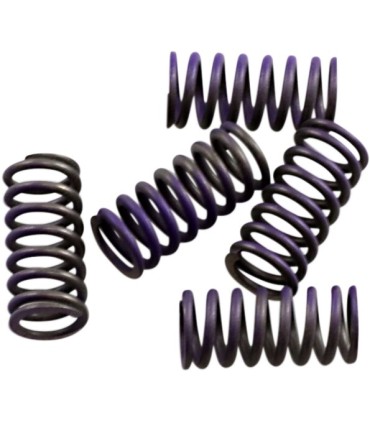 SPRINGS CLUTCH KIT