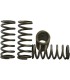 SPRING KIT CLUTCH CRF150