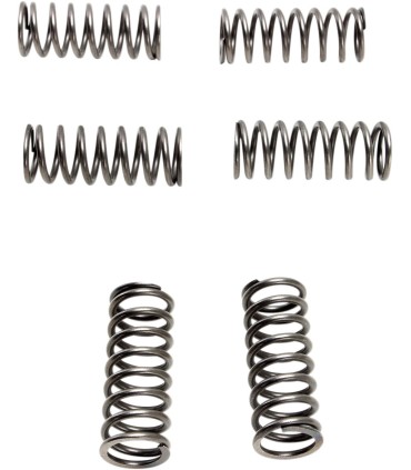 CLUTCH SPRING SET (6 PCS)