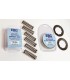 CLUTCH SPRING SET (3 PCS)