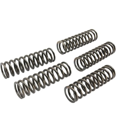 CLUTCH SPRING SET CSK