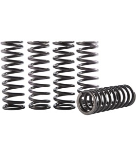 SPRING KIT CLUTCH HONDA