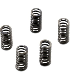 CLUTCH SPRING SET CSK