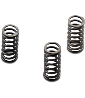 CLUTCH SPRING SET CSK