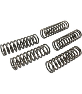 CLUTCH SPRING SET (5 PCS)