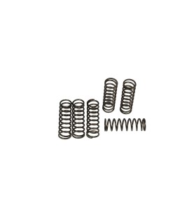 CLUTCH SPRING SET (6 PCS)