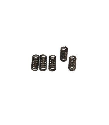 CLUTCH SPRING SET (6 PCS)