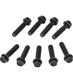 CLUTCH CVR SCREWS POL