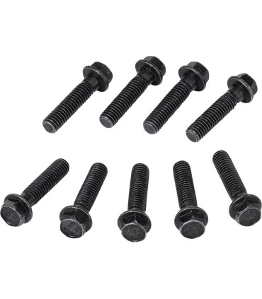 CLUTCH CVR SCREWS POL