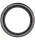 PRIMARY CLTCH BEARING POL