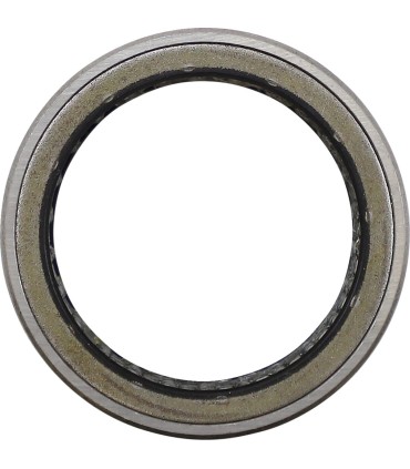 PRIMARY CLTCH BEARING POL