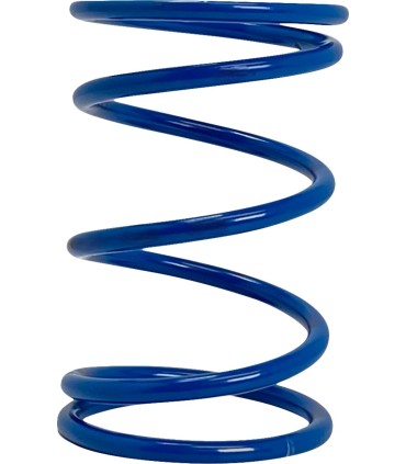 PRIMARY CLUTCH SPRING (BLUE) R