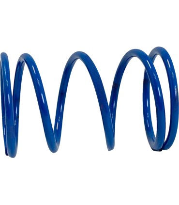 PRIMARY CLUTCH SPRING (BLUE) R