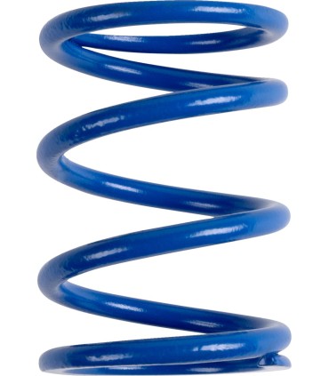 PRIMARY CLUTCH SPRING (BLUE/YE