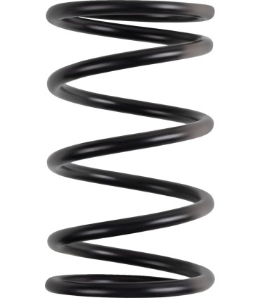 PRIMARY CLUTCH SPRING (BLACK/R