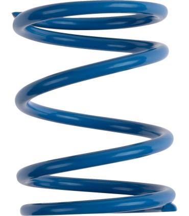 PRIMARY CLUTCH SPRING (BLUE/YE