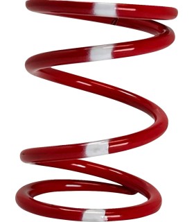 PRIMARY CLUTCH SPRING (RED/BLU