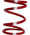 PRIMARY CLUTCH SPRING (RED/BLU