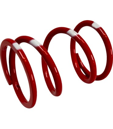 PRIMARY CLUTCH SPRING (RED/BLU