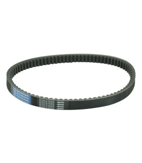 BELT DRIVE STANDARD