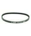 BELT DRIVE PLATINUM YAM