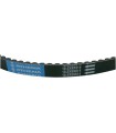 COURROIE DE TRANSMISSION 18,5X9X814