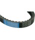 BELT TRAN 20X10X800   